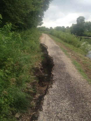 From a distance this looked a lot like a puddle